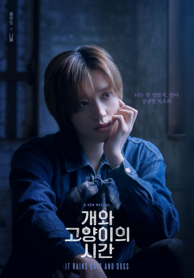  니엘, 4년 만에 다시 고양이..&apos;개와 고양이의 시간&apos; 첫 무대
