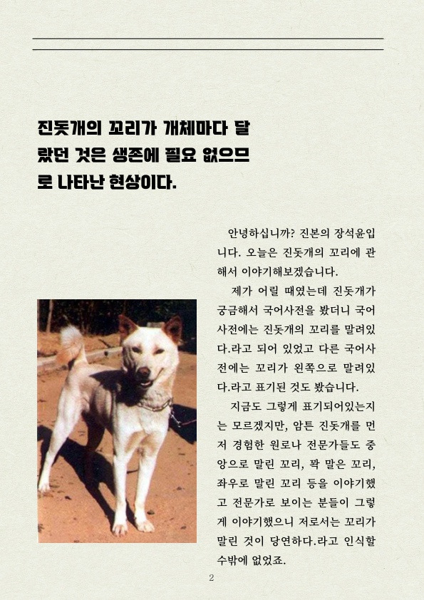 진돗개 꼬리는 장대(??)꼬리 | 인스티즈