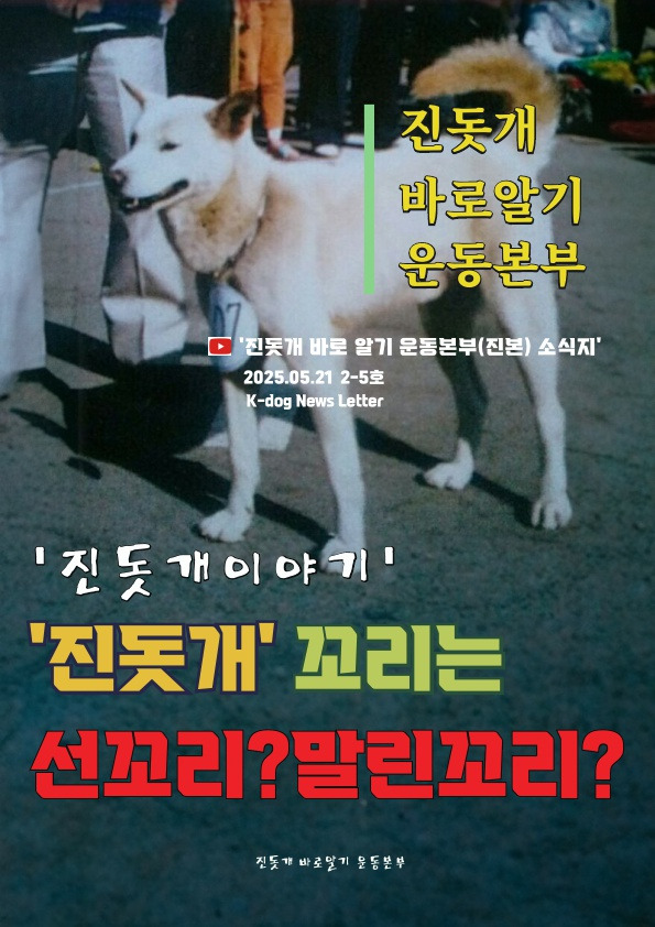 진돗개 꼬리는 장대(??)꼬리 | 인스티즈