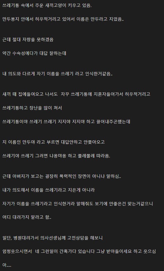 고양이한테 쓰레기라고 부르는 사람1