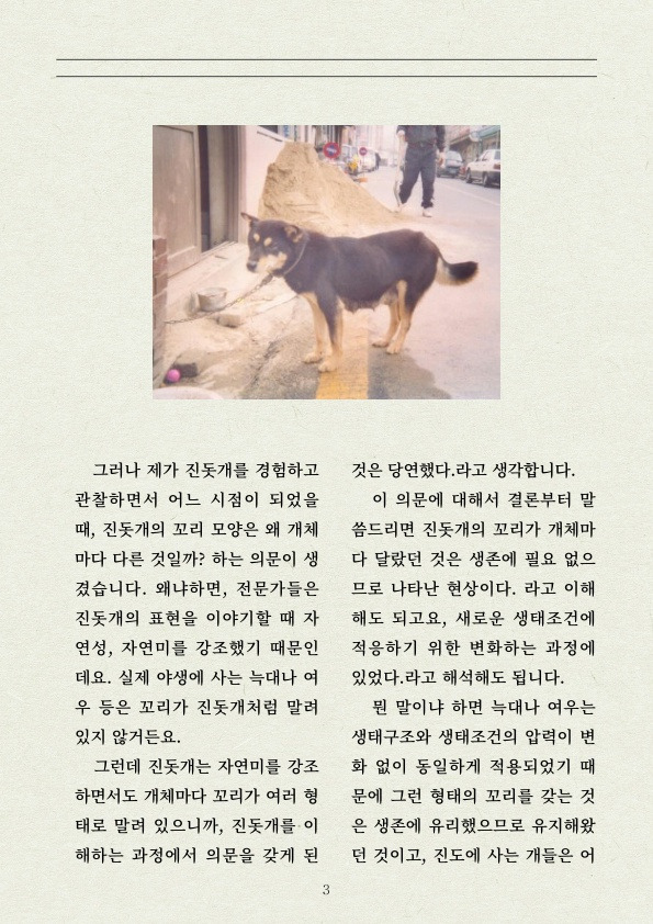 진돗개 꼬리는 장대(??)꼬리 | 인스티즈