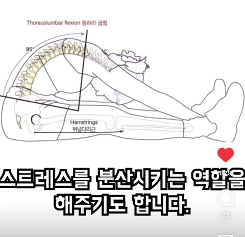 필라테스의 효과 (속근육의 기능) | 인스티즈