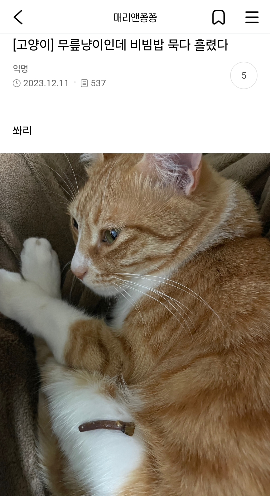 자꾸 뭘 먹다가 흘리는 여시들 | 인스티즈