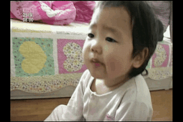 네쌍둥이 어머님이 만들어 먹인 애기들 건강식단.jpg | 인스티즈