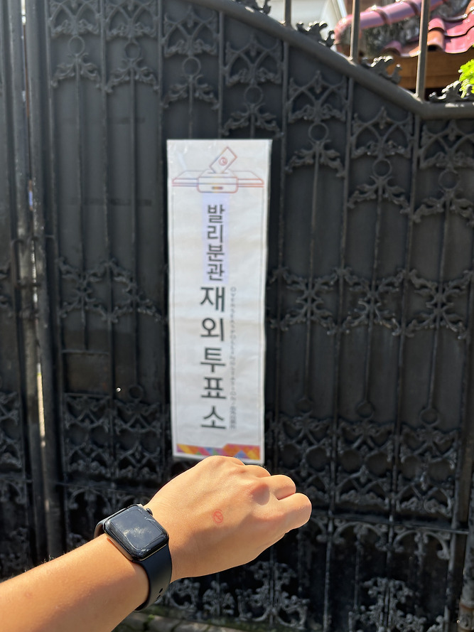 전세계 곳곳에 있는 밀시들의 21대 대선 투표 인증 | 인스티즈