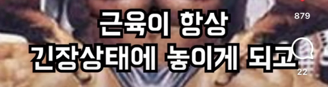 필라테스의 효과 (속근육의 기능) | 인스티즈