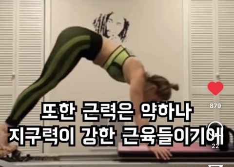 필라테스의 효과 (속근육의 기능) | 인스티즈