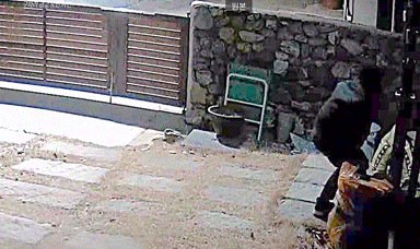 강남경찰서가 못 잡은 미제사건.gif | 인스티즈