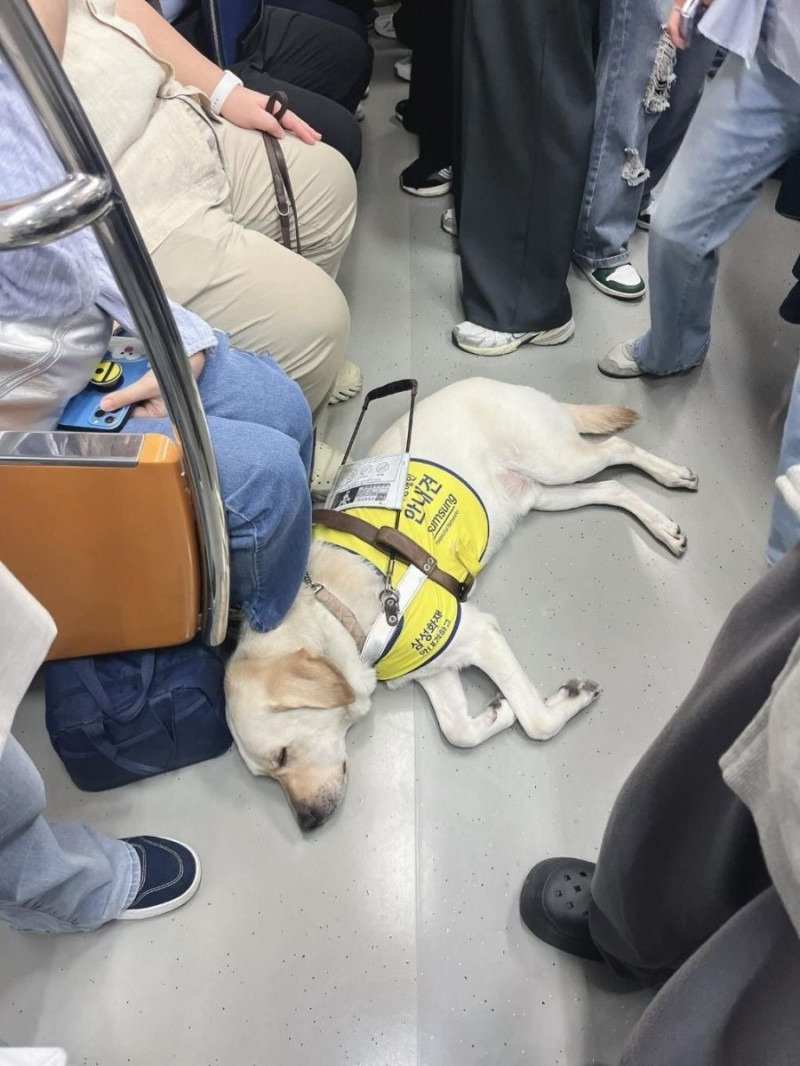 출근길 만원 지하철에서 느꼈던 따스함 | 인스티즈
