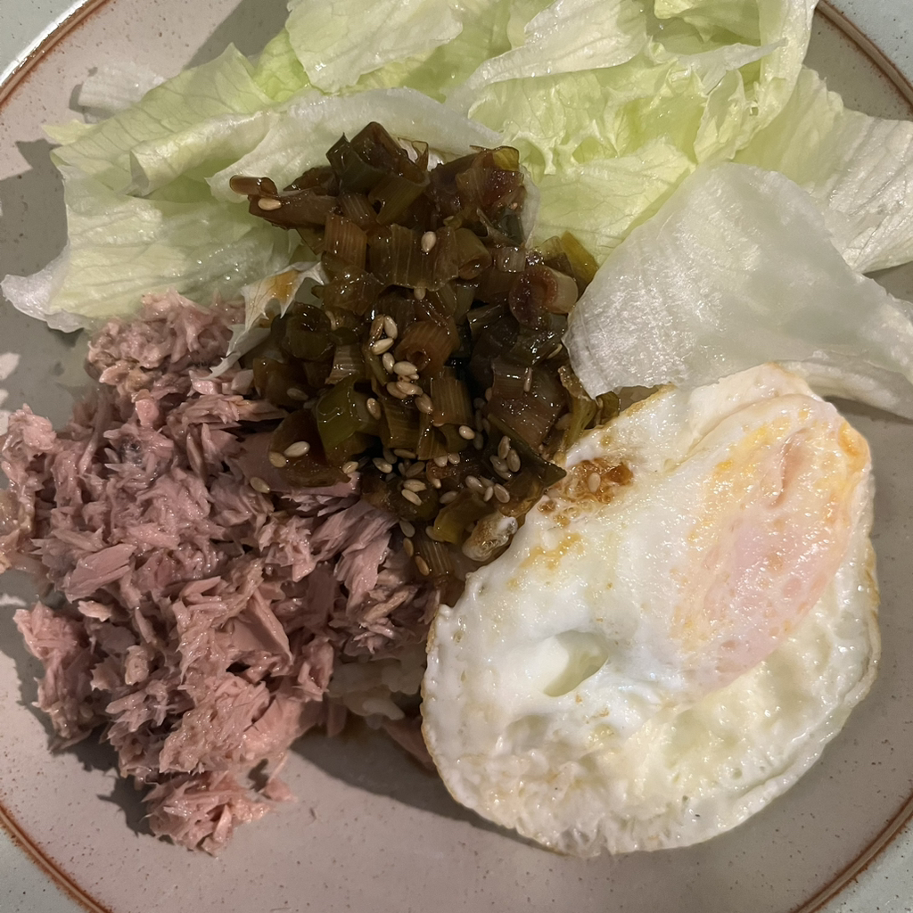  현실적인 소식 집밥 + 도시락 모음