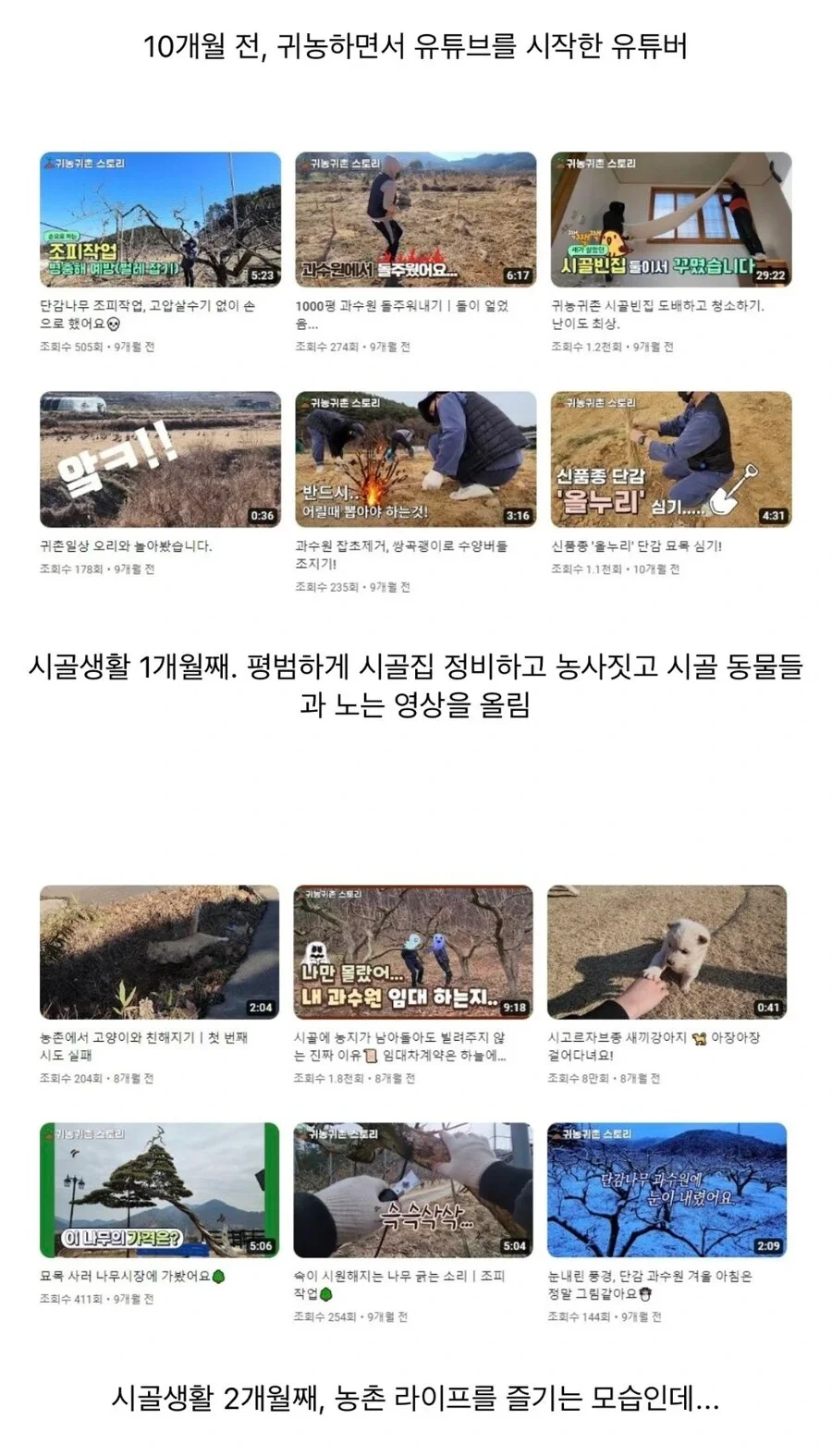  귀농한 유튜버의 컨텐츠 변화2