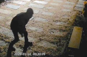  강남경찰서가 못 잡은 미제사건.gif1