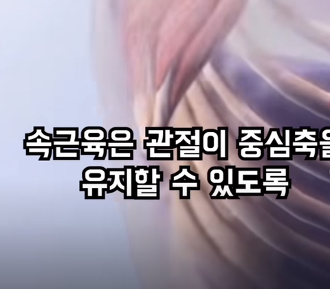 필라테스의 효과 (속근육의 기능) | 인스티즈
