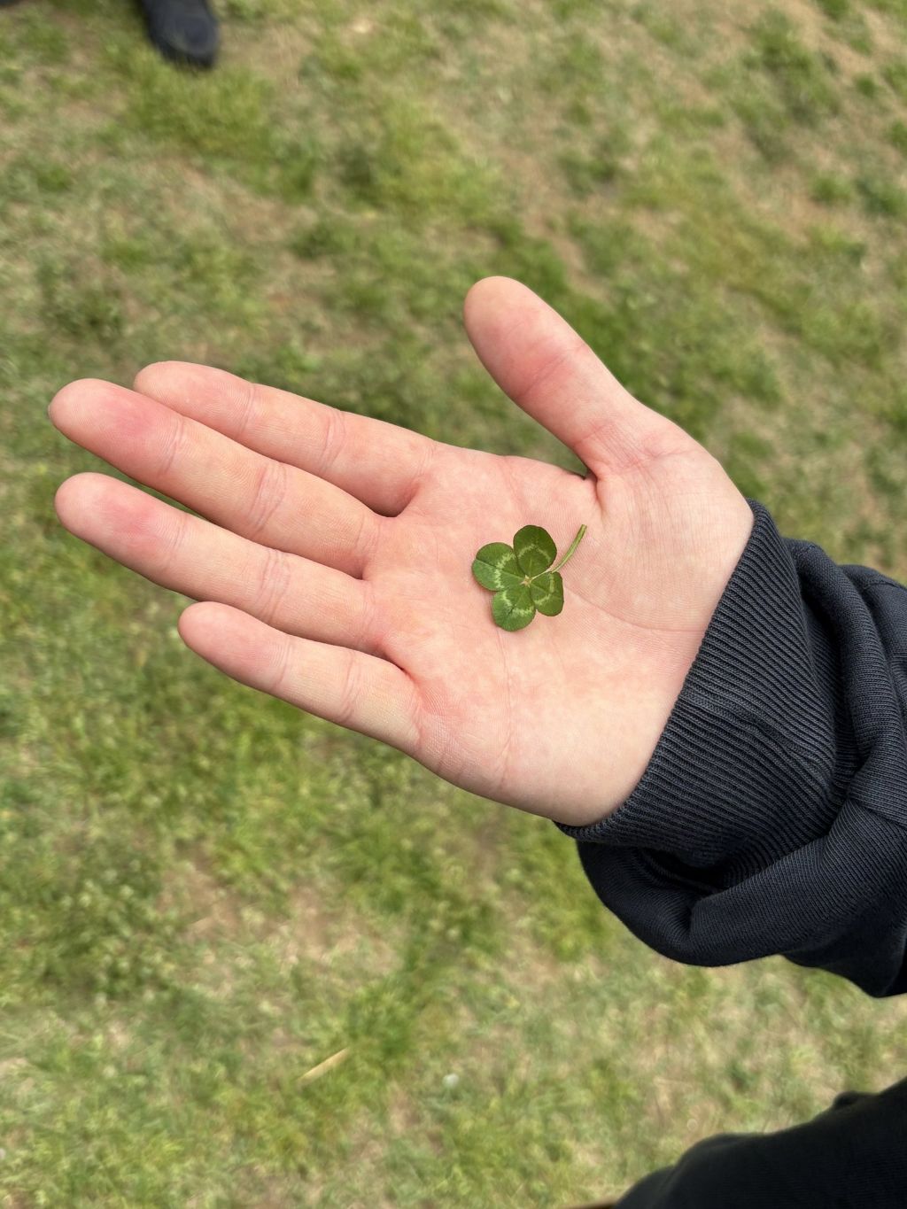 육성재 인스타그램 업뎃 | 인스티즈
