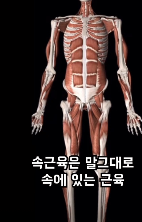 필라테스의 효과 (속근육의 기능) | 인스티즈