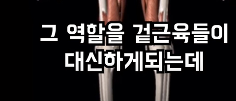 필라테스의 효과 (속근육의 기능) | 인스티즈