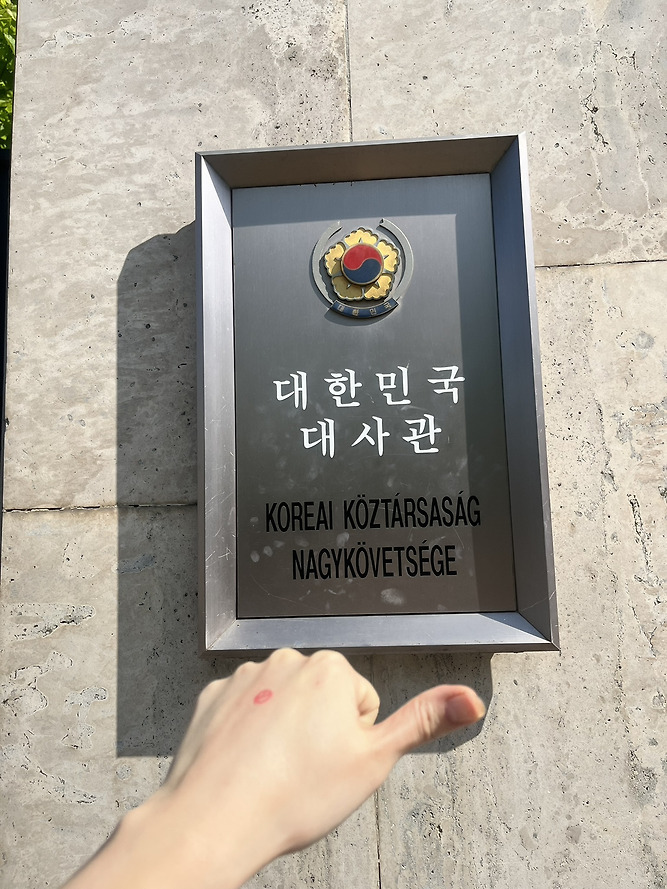 전세계 곳곳에 있는 밀시들의 21대 대선 투표 인증 | 인스티즈