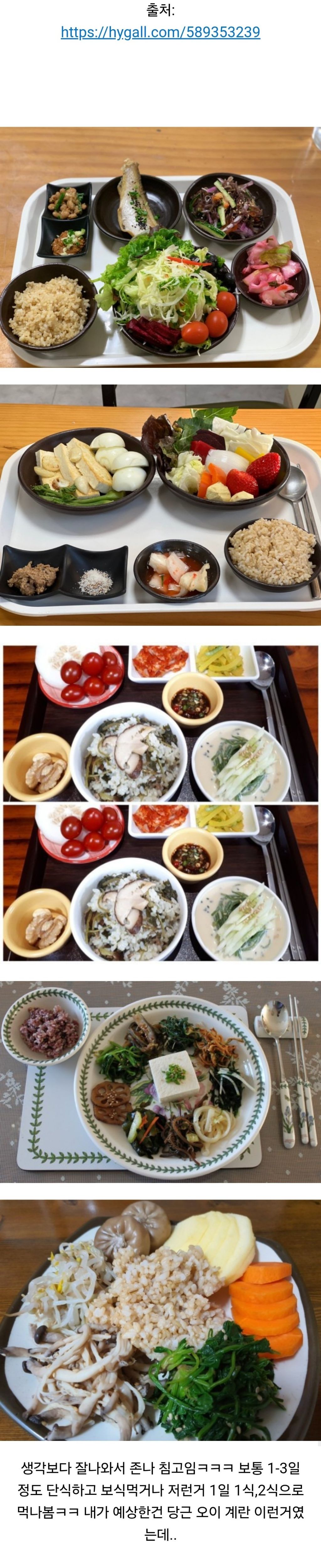  갑자기 단식원 식단이 궁금해서 찾아보는데