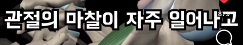 필라테스의 효과 (속근육의 기능) | 인스티즈