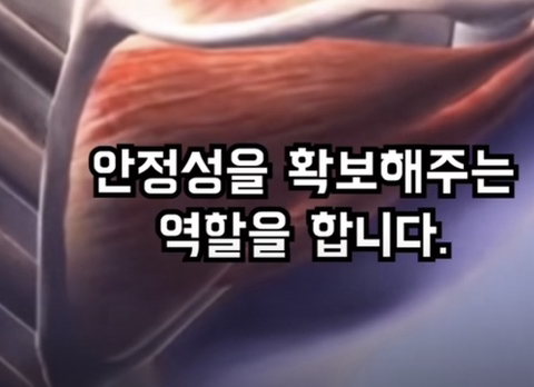 필라테스의 효과 (속근육의 기능) | 인스티즈