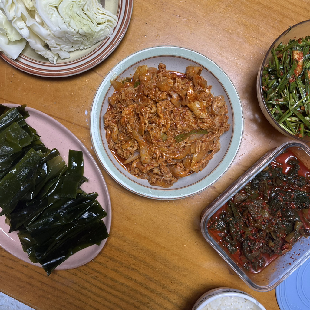 현실적인 소식 집밥 + 도시락 모음 | 인스티즈