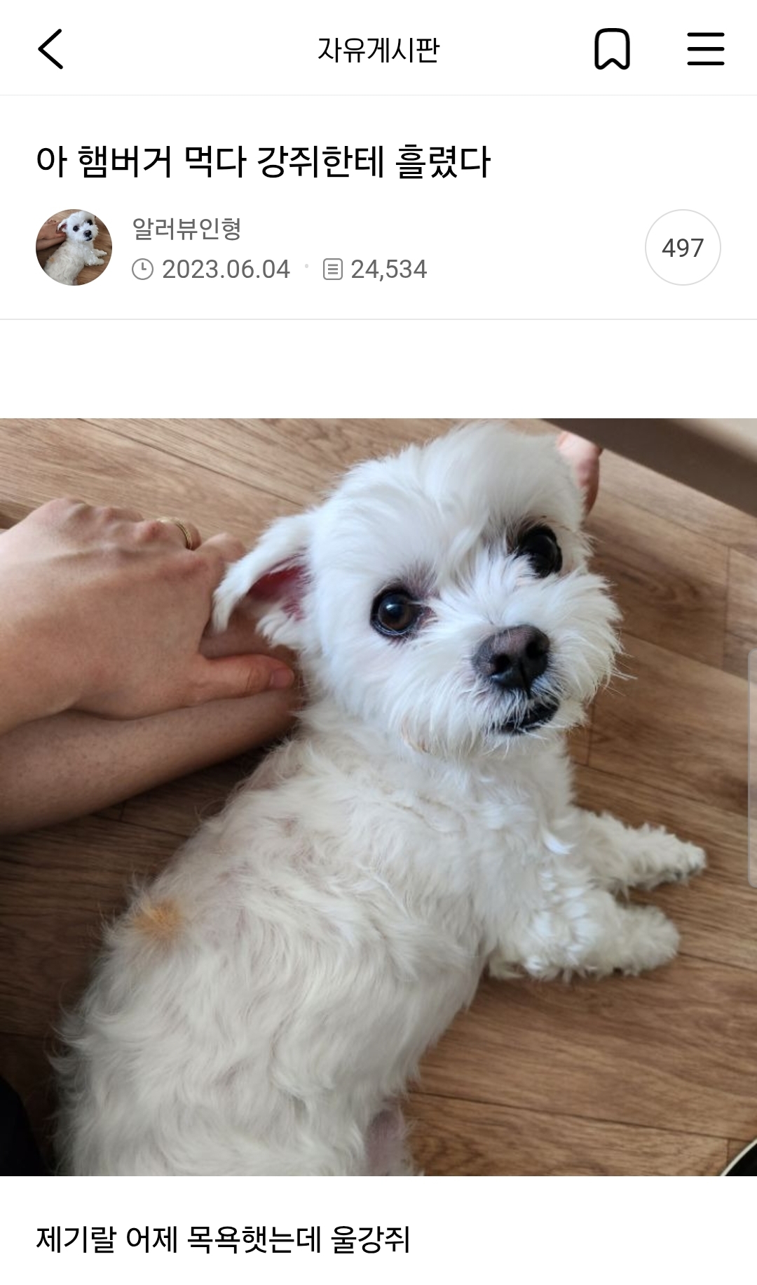 자꾸 뭘 먹다가 흘리는 여시들 | 인스티즈