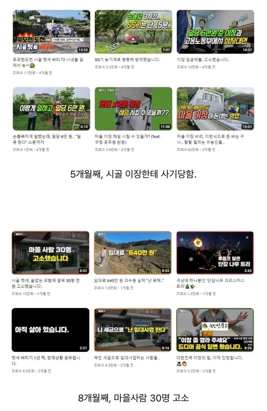 귀농한 유튜버의 컨텐츠 변화 | 인스티즈