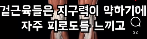 필라테스의 효과 (속근육의 기능) | 인스티즈