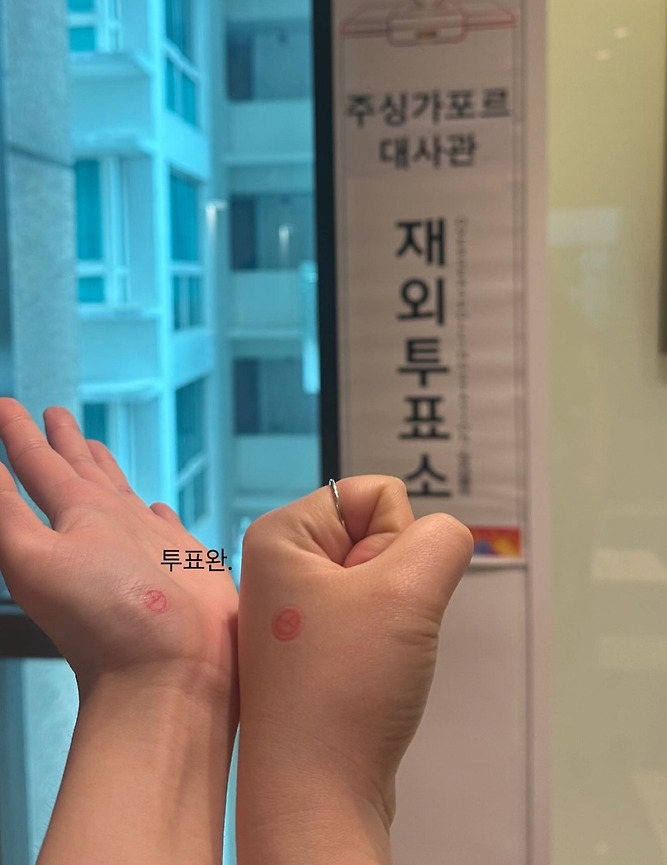 전세계 곳곳에 있는 밀시들의 21대 대선 투표 인증 | 인스티즈