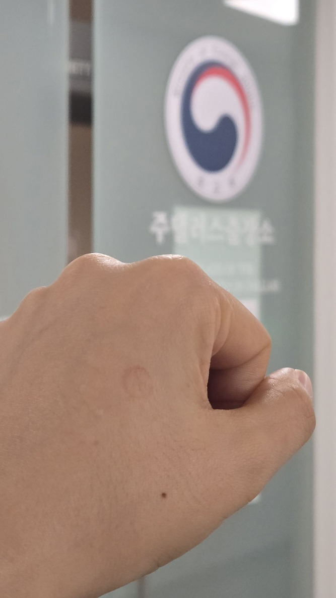 전세계 곳곳에 있는 밀시들의 21대 대선 투표 인증 | 인스티즈