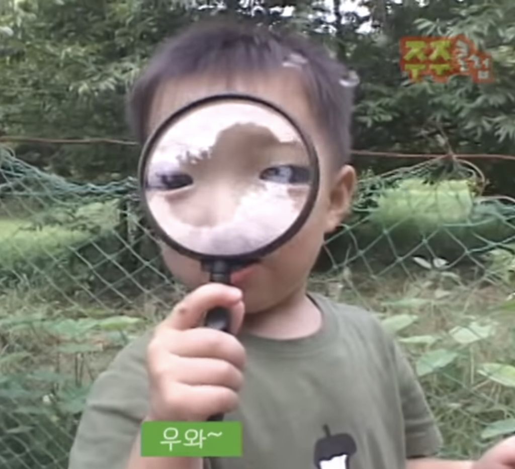  뭐에 빠지면 끝장을 보는 달글