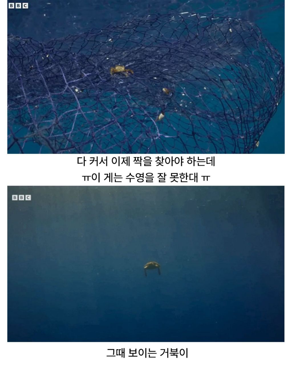 디즈니 단편같은 게의 운명적인 만남 | 인스티즈