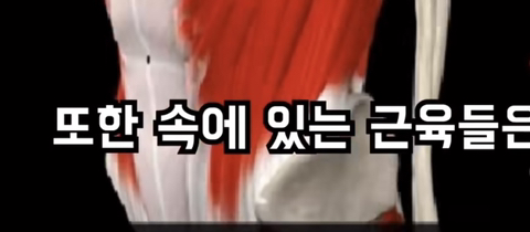 필라테스의 효과 (속근육의 기능) | 인스티즈