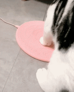  냥이 충전기