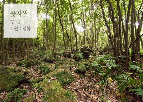  예쁜 제주도 사투리 모음.jpg