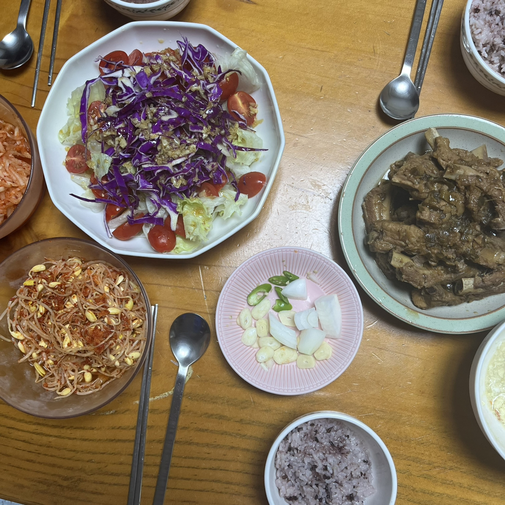 현실적인 소식 집밥 + 도시락 모음 | 인스티즈