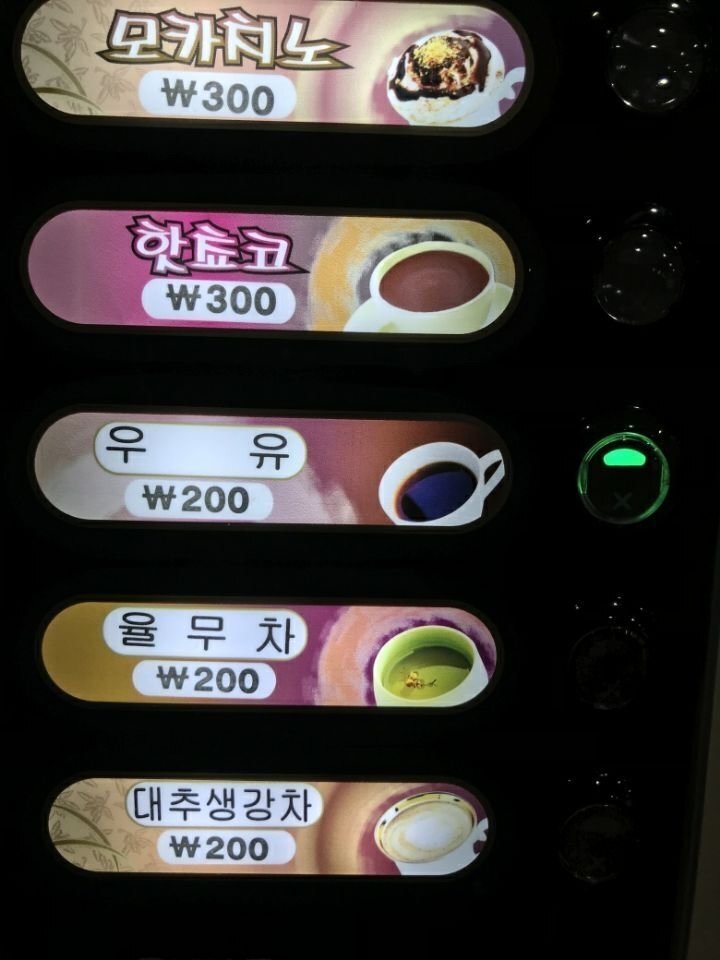  자판기 율무차vs코코아vs우유1