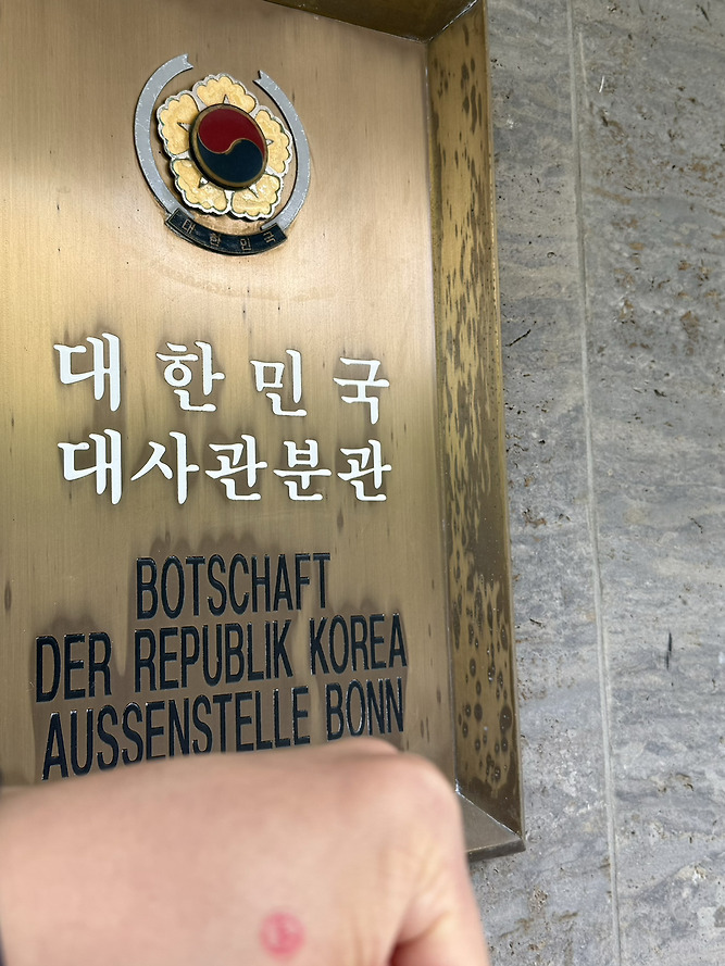 전세계 곳곳에 있는 밀시들의 21대 대선 투표 인증 | 인스티즈