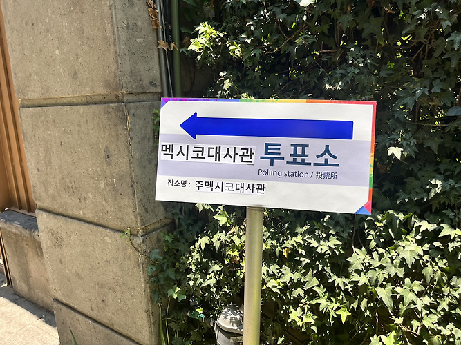 전세계 곳곳에 있는 밀시들의 21대 대선 투표 인증 | 인스티즈