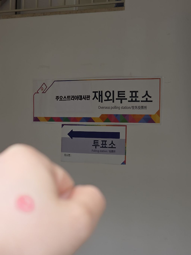 전세계 곳곳에 있는 밀시들의 21대 대선 투표 인증 | 인스티즈