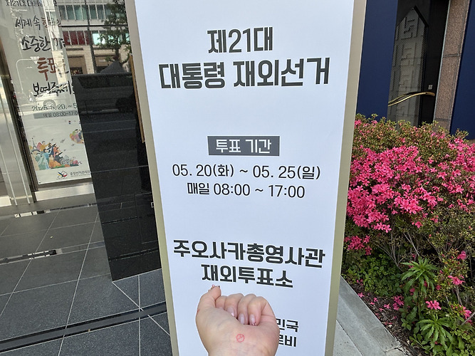  전세계 곳곳에 있는 밀시들의 21대 대선 투표 인증