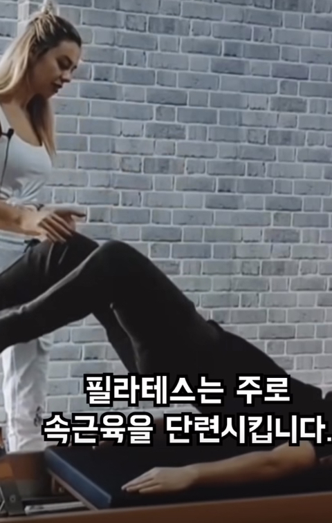  필라테스의 효과 (속근육의 기능)10