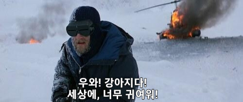  작은 강아지의 질주2