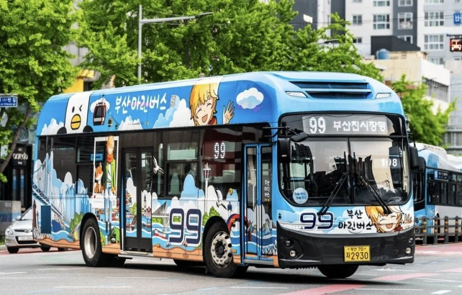 부산 버스 디자인 호불호