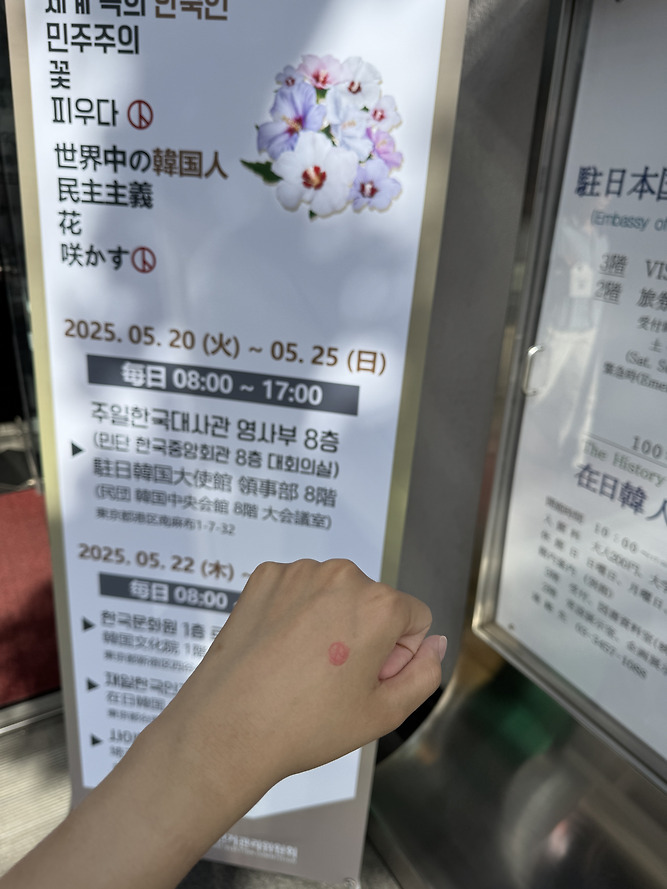 전세계 곳곳에 있는 밀시들의 21대 대선 투표 인증 | 인스티즈