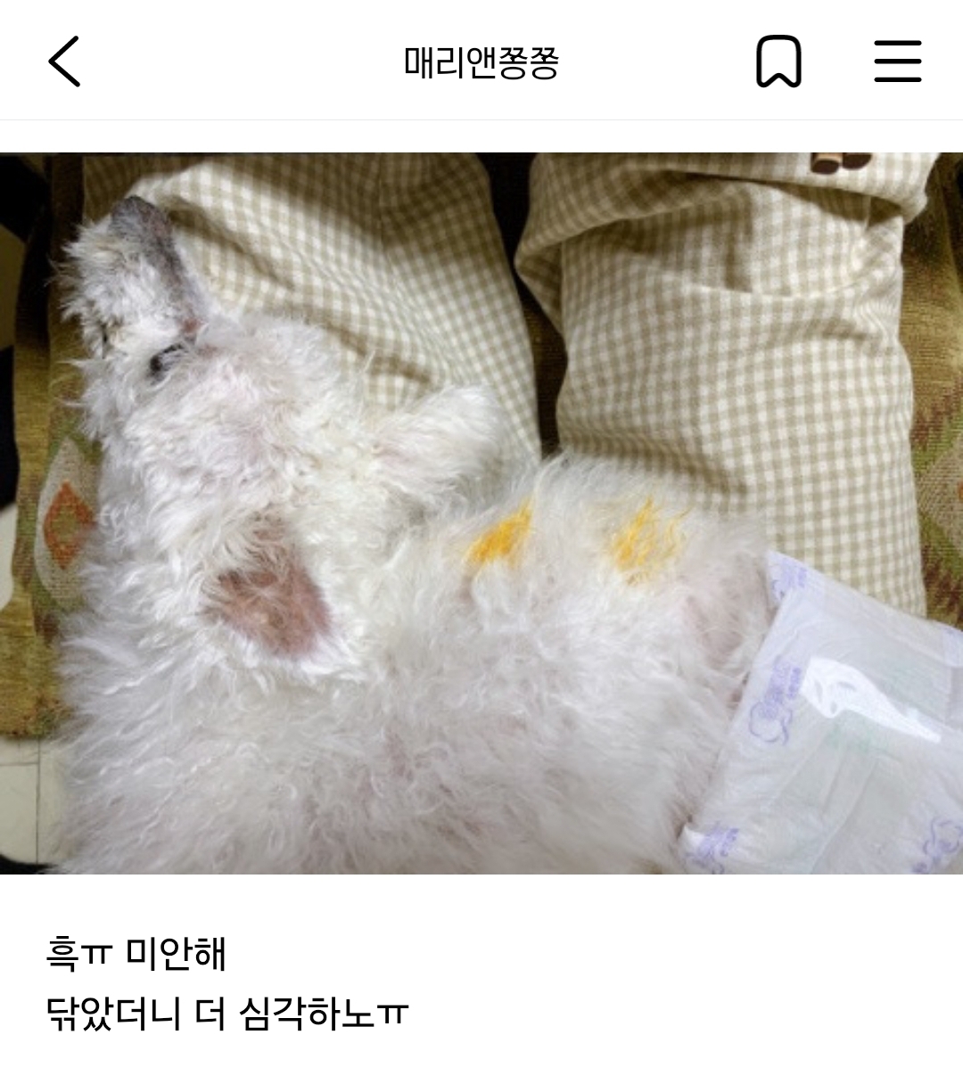자꾸 뭘 먹다가 흘리는 여시들 | 인스티즈