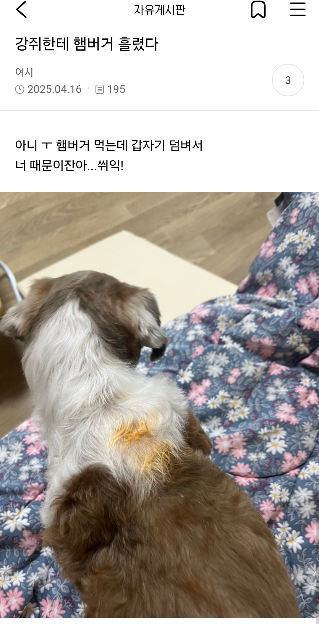  자꾸 뭘 먹다가 흘리는 여시들4