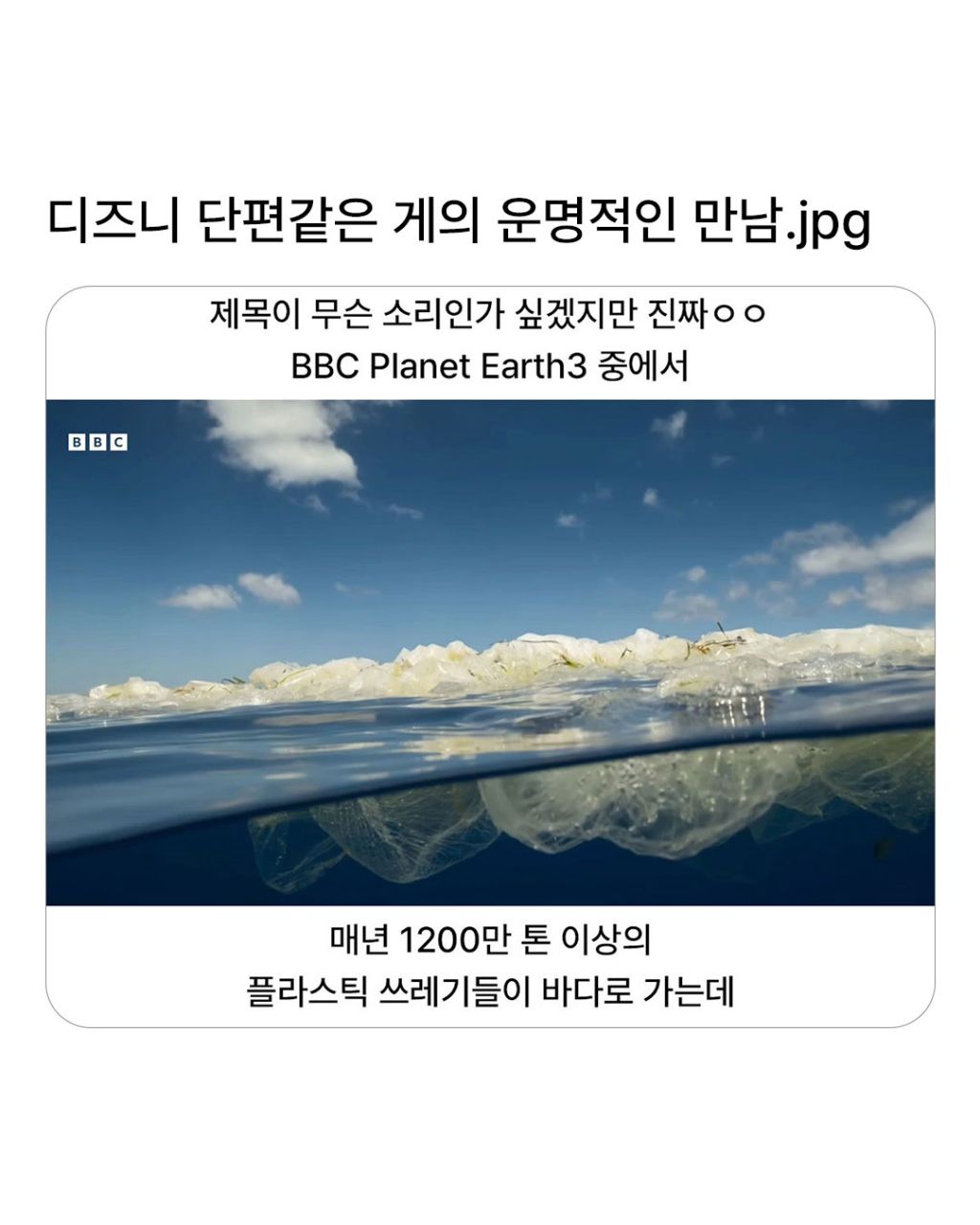  디즈니 단편같은 게의 운명적인 만남