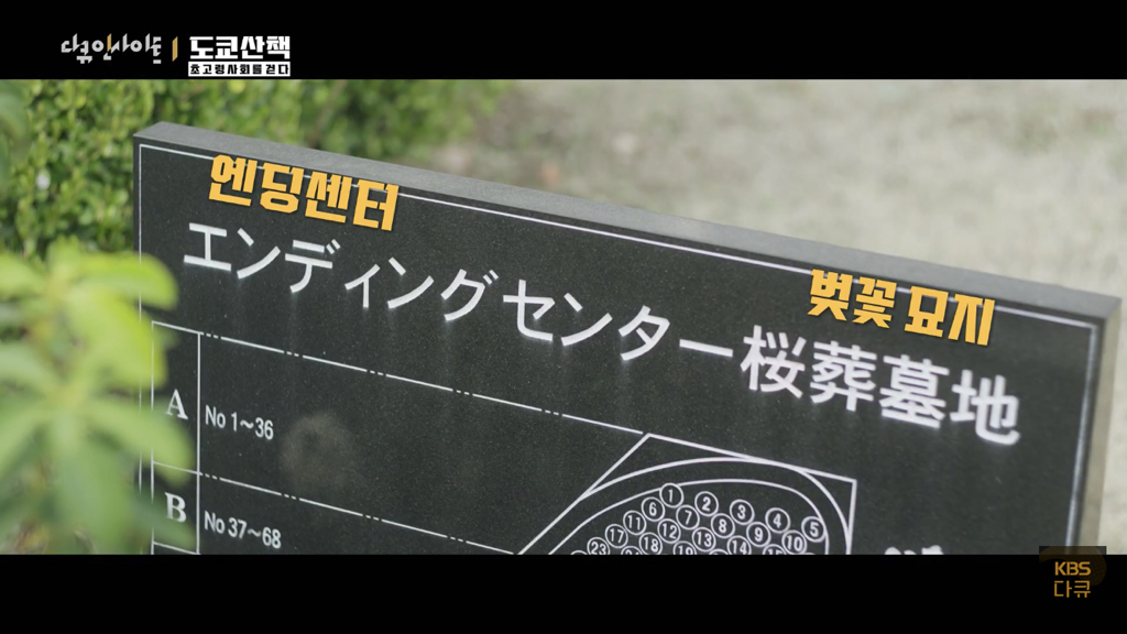일본 노인들이 하고있다는 무덤친구.JPG | 인스티즈