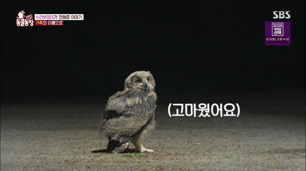 오늘 레전드라고 난리난 동물농장.jpg | 인스티즈